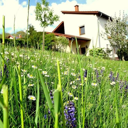 Ferienwohnung Schneider Mettlach Dış mekan fotoğraf