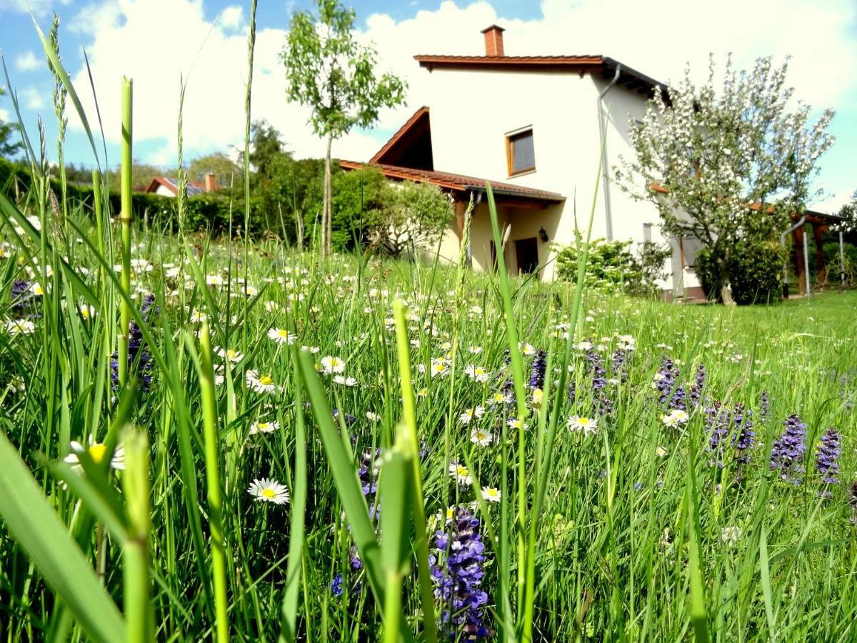 Ferienwohnung Schneider Mettlach Dış mekan fotoğraf